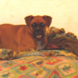 I Love my blanket