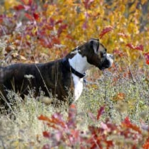 Myla Posing