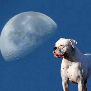 Blue moon