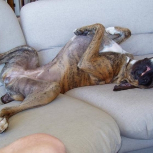 so sleeeepy