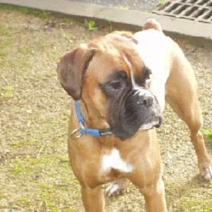 Star aged 23 months
