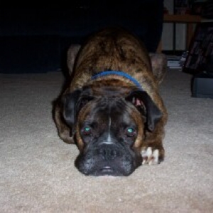 Awwww, Bubba!