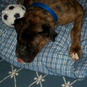 Boy am I pooped!