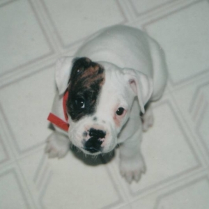 First day home!