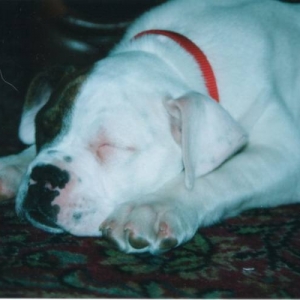 ZZZzzzz