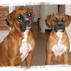 Toby and Annabelle
