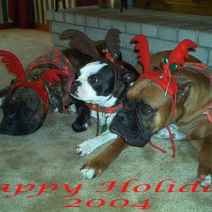 Santa's Little Helpers