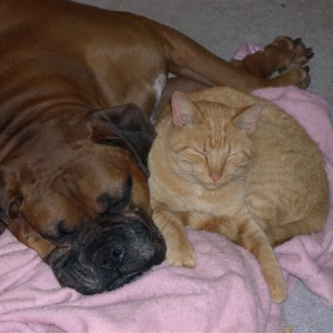 Sleeping Beauties