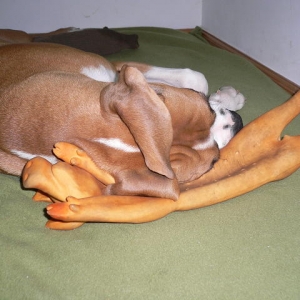My best pillow.....