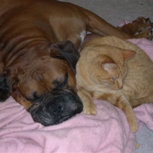 Rusty In Deep Sleep