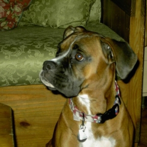 Echo