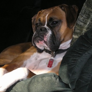Sadie