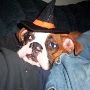 Witch...