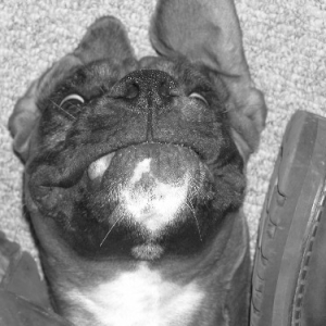 What a Weirdo