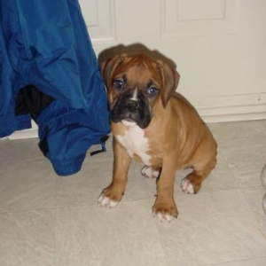 Frankie arrives home.