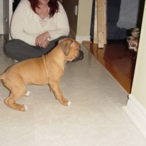 Frankie meets Bruno.