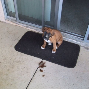 I didnt do it.
