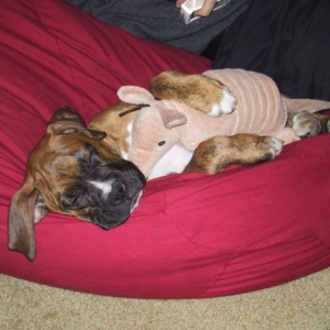 Drago and his teddy