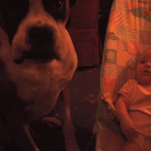 Who's the cutest?