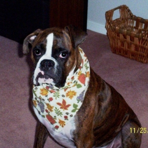 Where's the turkey?