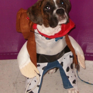 Yeehaw Wilson!