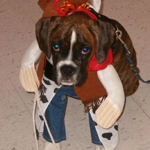 Cowboy Wilson
