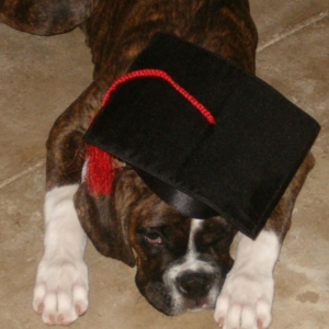 Wilson the Graduate
