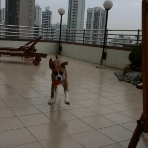 Playtime....