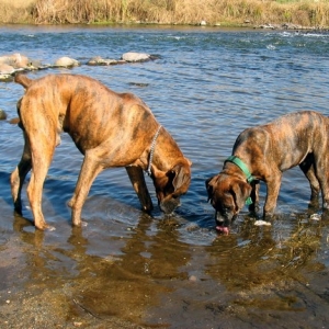 I know there's fish in here somewhere...
