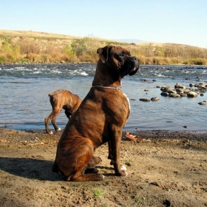 waiting for a instruction