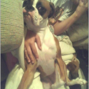 Sprawled out