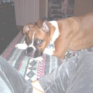 Sady 11_27_04