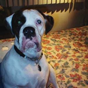 Is it bed time yet??!