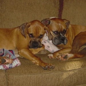 Thanksgiving Sure Is Tiring