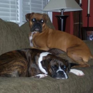 Our three loved ones