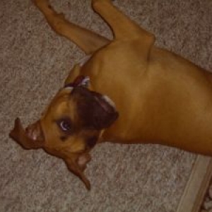 Keno -- 6 mos old