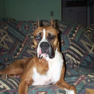 Simba posing for mom