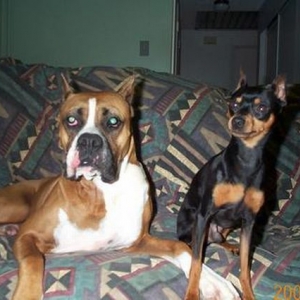 Best Pals