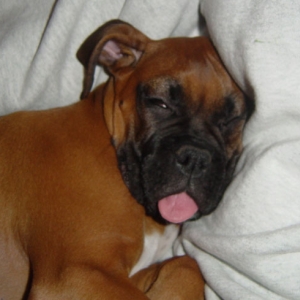 sleepy-bella