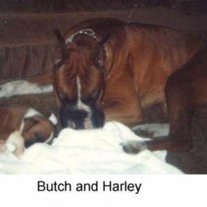 Father and Son