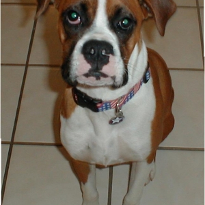 Handsome boy!