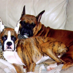 We Own this Couch