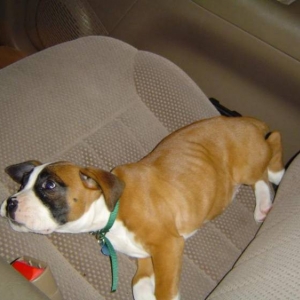 Riding in the car