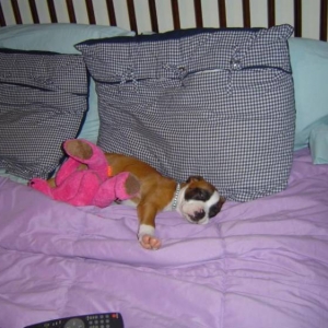 passed out on moms bed