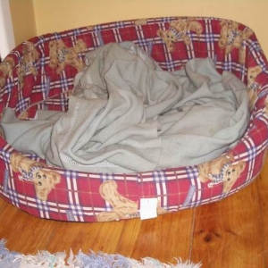 Gnarly's bed