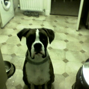 lennox