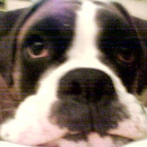 lennox