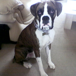 lennox