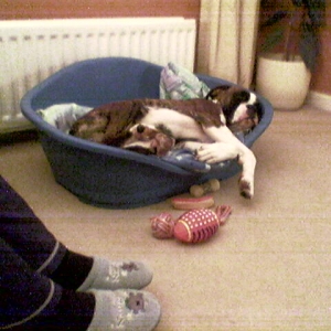 lennox