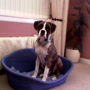 lennox
